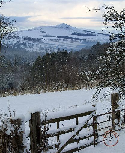 Scottish Borders Rubers Law 9C38D-15.JPG